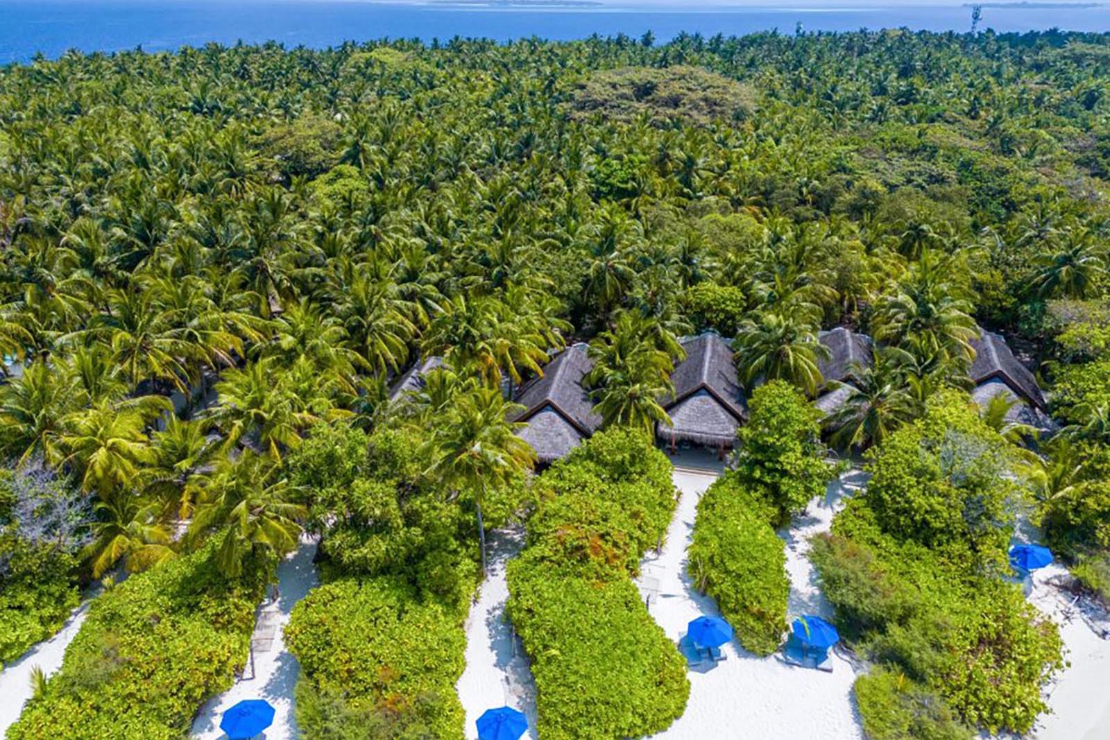 Beach Villa at Dusit Thani Maldives - photo 1